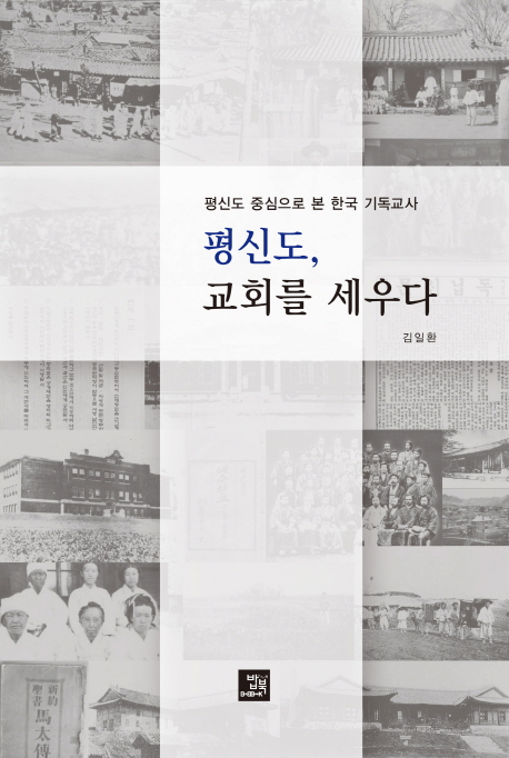 평신도, 교회를 세우다 : 평신도 중심으로 본 한국 기독교사 책표지