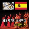 한쪽 팔 없는 인어공주의 꿈, 스페인 장애인 교육 [비디오녹화자료] 책표지