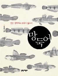 망둑어 : 연안 생태계의 토박이 물고기 책표지