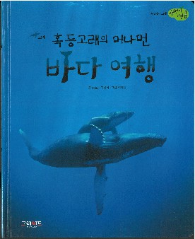 혹등고래의 머나먼 바다 여행 책표지