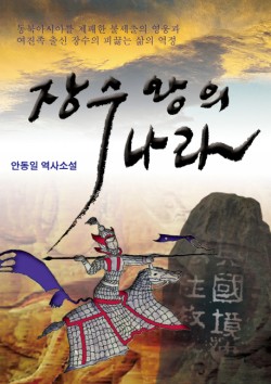 장수왕의 나라 : 안동일 역사소설 책표지