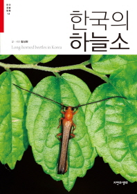 한국의 하늘소 = Long-horned beetles in Korea 책표지