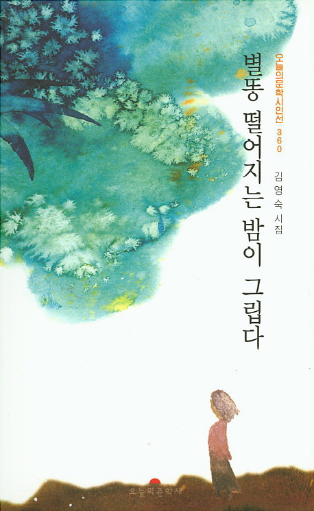 별똥 떨어지는 밤이 그립다 : 김영숙 시집 책표지