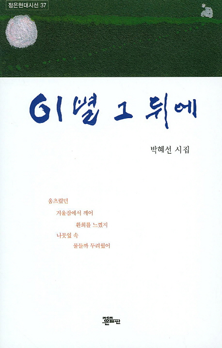 이별 그 뒤에 : 박혜선 시집 책표지