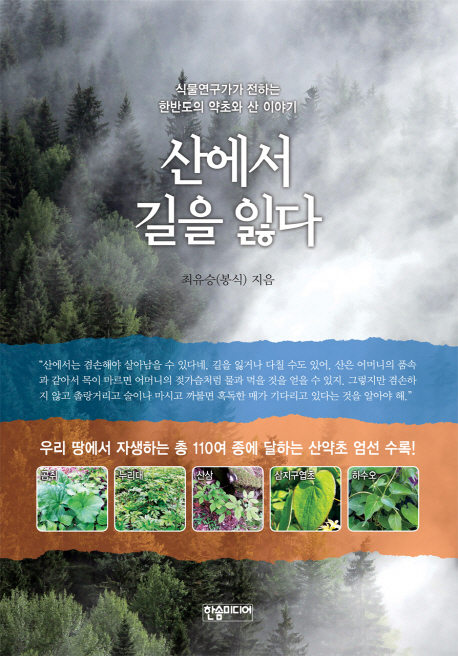 산에서 길을 잃다 : 식물연구가가 전하는 한반도의 약초와 산 이야기 책표지