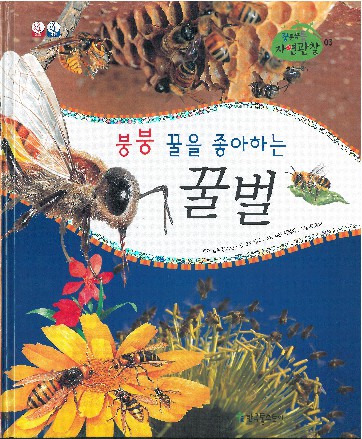 붕붕 꿀을 좋아하는 꿀벌 책표지