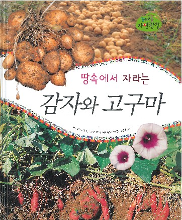 땅속에서 자라는 감자와 고구마 책표지