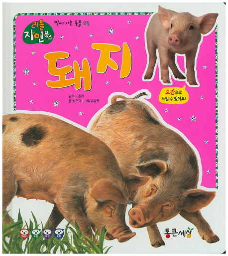 돼지 책표지