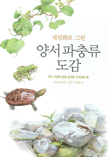 (세밀화로 그린 보리 어린이) 양서 파충류 도감 : 우리 겨레와 함께 살아온 개구리와 뱀 책표지