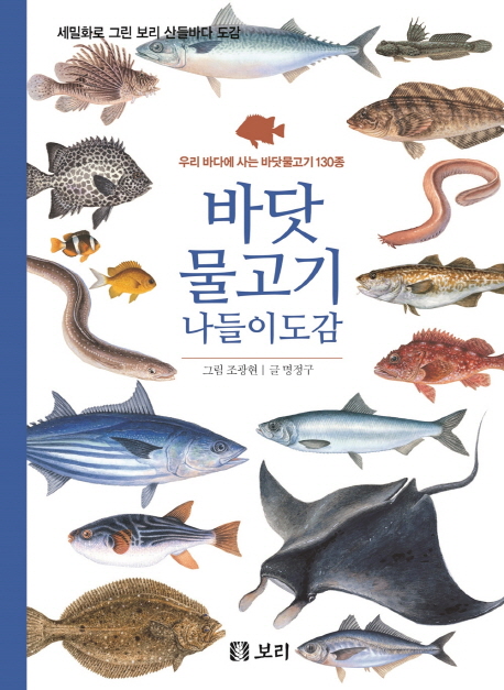 바닷물고기 나들이도감 : 우리바다에 사는 바닷물고기 130종 책표지