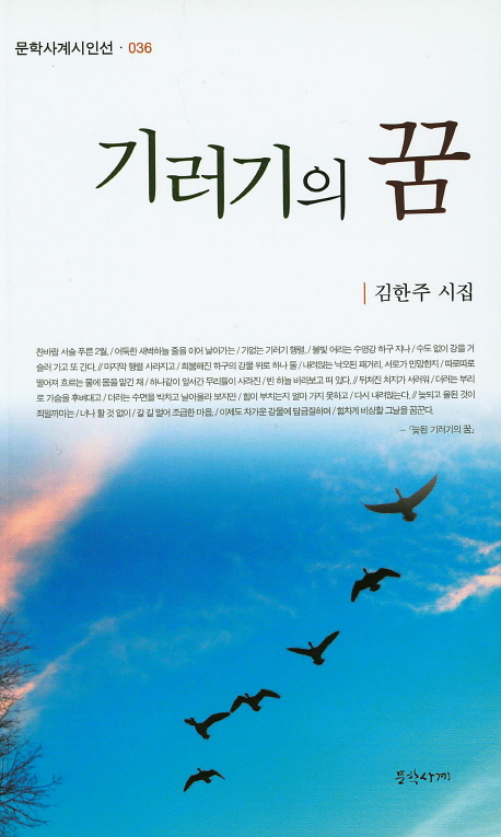 기러기의 꿈 : 김한주 시집 책표지