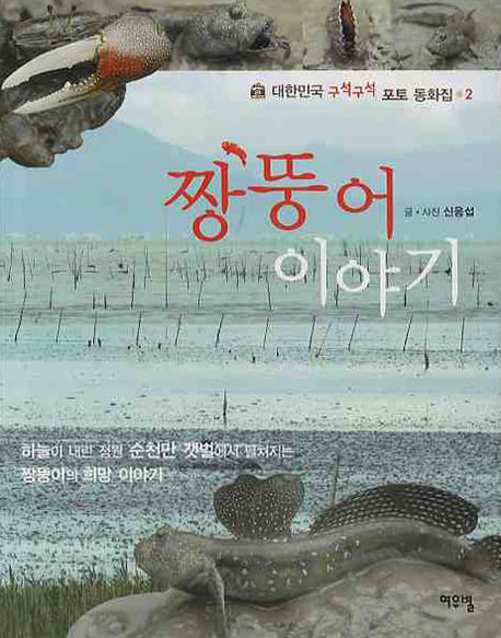 짱뚱어 이야기 = ZzangAa's story : 하늘이 내린 정원 순천만 갯벌에서 펼쳐지는 짱뚱어의 희망 이야기 책표지