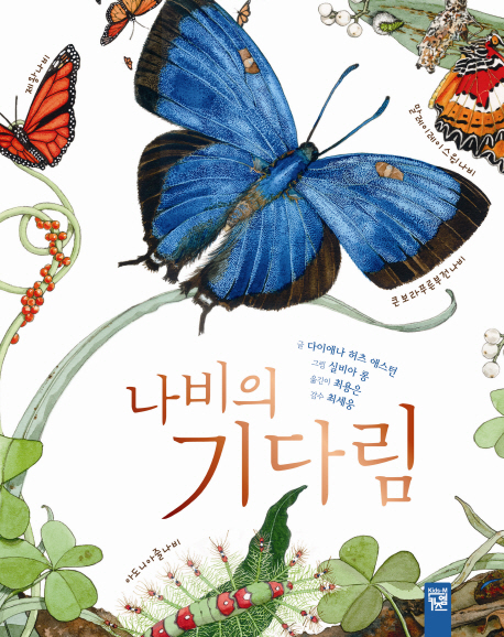 나비의 기다림 책표지