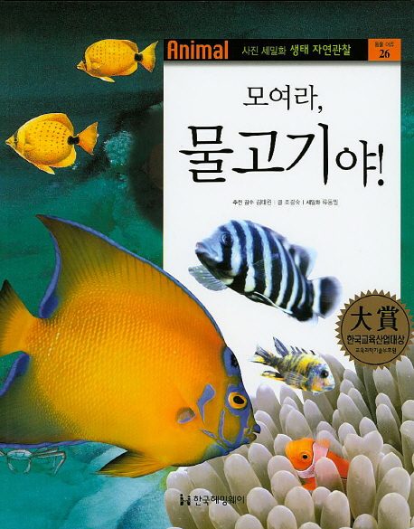(모여라,) 물고기야 책표지