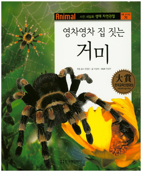 (영차영차 집 짓는) 거미 책표지