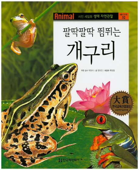 (팔딱팔딱 뜀뛰는) 개구리 책표지