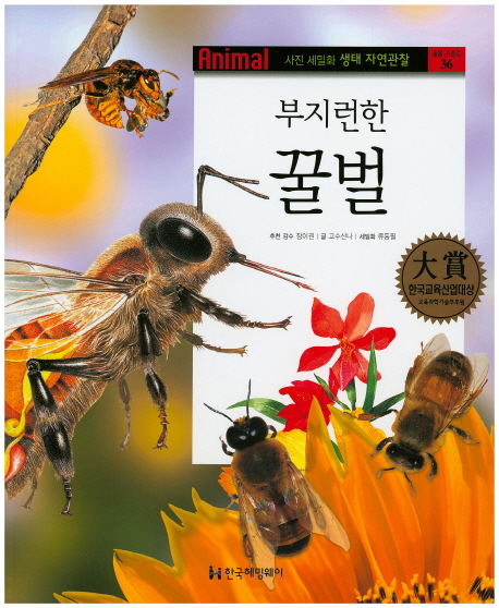 (부지런한) 꿀벌 책표지