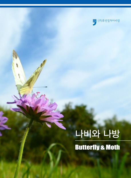 나비와 나방 = Butterfly & moth 책표지