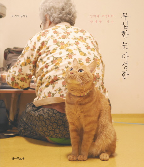 무심한 듯 다정한 : 엄마와 고양이가 함께한 시간 책표지