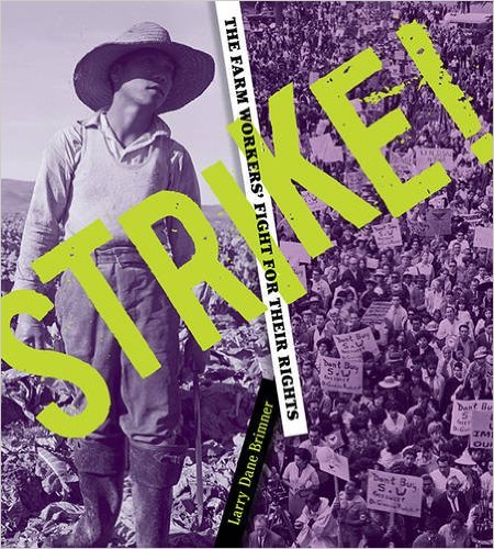 Strike! : the farm workers' fight for their rights 책표지