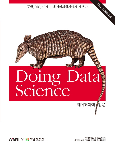 데이터과학 입문 : 구글, MS, 이베이 데이터과학자에게 배우다 책표지