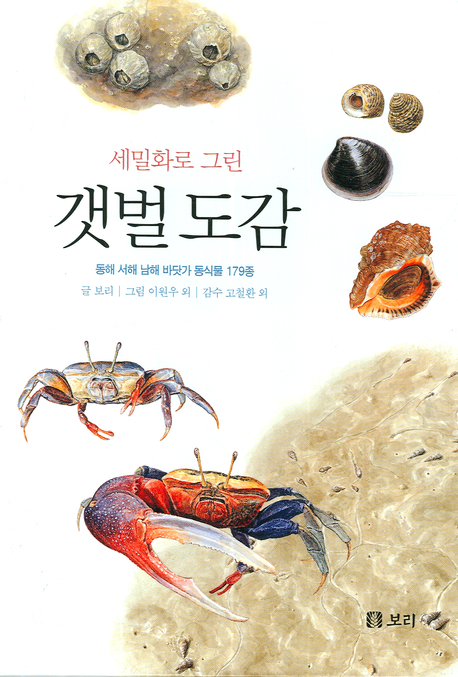 (세밀화로 그린) 갯벌 도감 : 동해 서해 남해 바닷가 동식물 179종 책표지