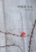 바람과 사슬 : 홍석영 창작집 책표지