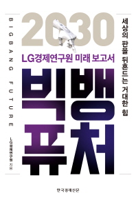 (2030) 빅뱅 퓨처 = Bigbang future : LG경제연구원 미래 보고서 : 세상의 판을 뒤흔드는 거대한 힘 책표지