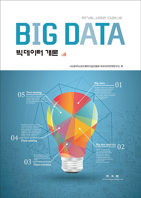 빅데이터 개론 = Big data : analyse data 책표지