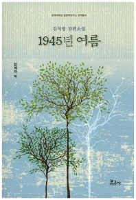 1945년 여름 : 김석범 장편소설 책표지