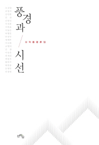 풍경과 시선 : 신덕룡 평론집 책표지