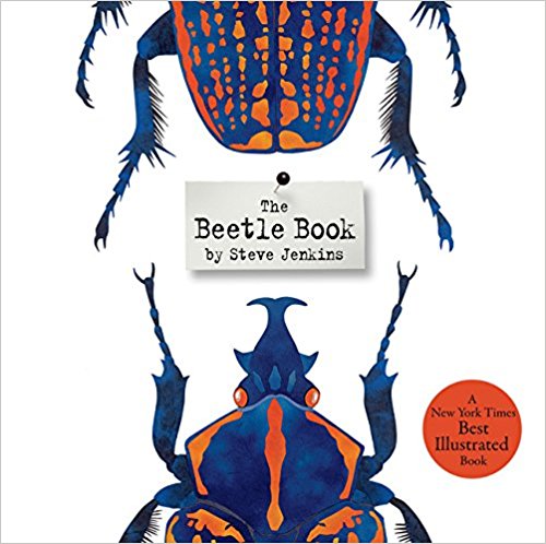 (The) beetle book 책표지
