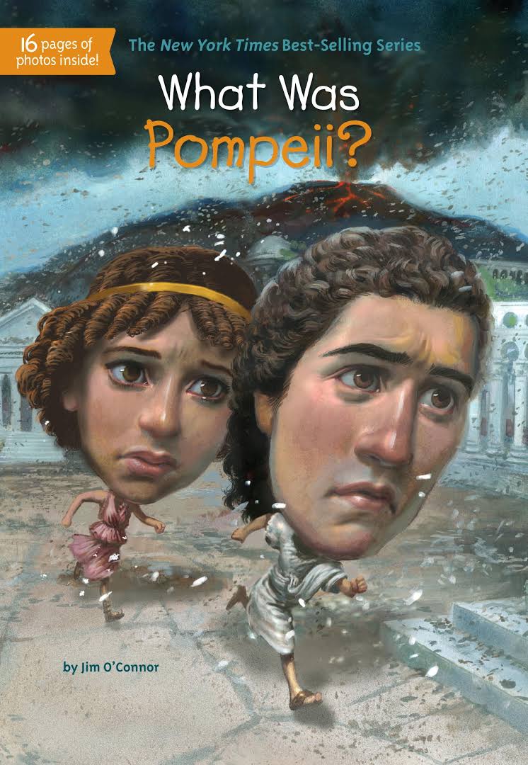 What was Pompeii? 책표지
