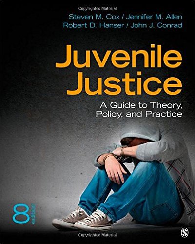 Juvenile justice : a guide to theory, policy, and practice 책표지