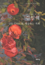 김일해 = Kim, Il-Hae : 움직이는 빛, 행동하는 색채 책표지