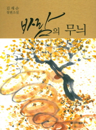 바람의 무늬 : 김재순 장편소설 책표지