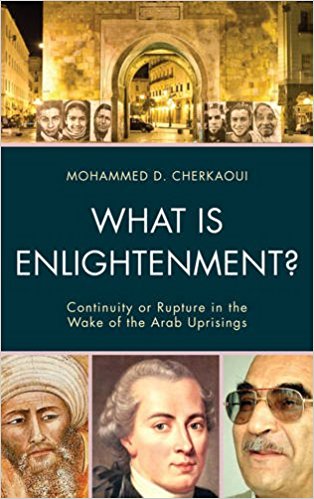 What is enlightenment? : continuity or rupture in the wake of the Arab uprisings 책표지
