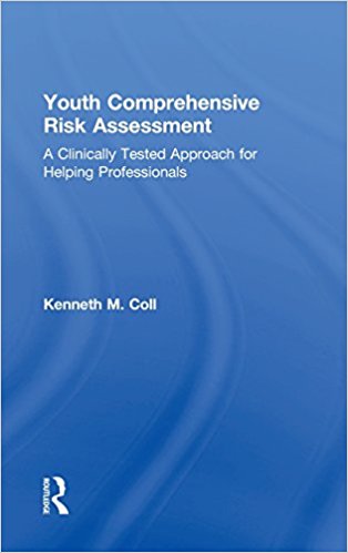 Youth comprehensive risk assessment : a clinically tested approach for helping professionals 책표지