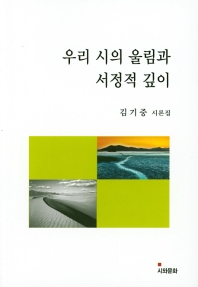 우리 시의 울림과 서정적 깊이 : 김기중 시론집 책표지