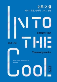 인투 더 쿨 : 에너지 흐름, 열역학, 그리고 생명 책표지