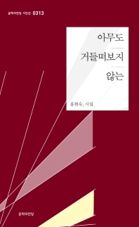 아무도 거들떠보지 않는 : 홍현숙 시집 책표지