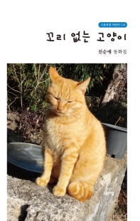 꼬리 없는 고양이 : 진순애 동화집 책표지