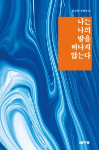 나는 나의 밤을 떠나지 않는다 : 김운하 장편소설 책표지