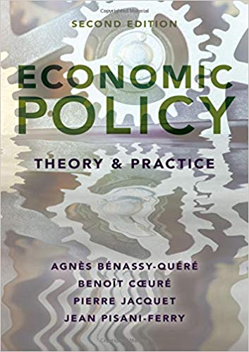 Economic policy : theory and practice 책표지