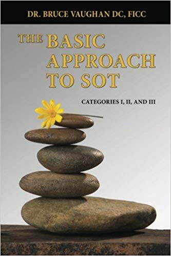 (The) basic approach to SOT : category I, II and III 책표지