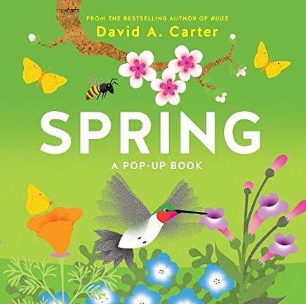 Spring : a pop-up book 책표지