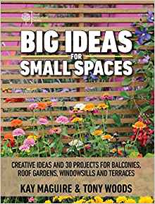 Big ideas for small spaces : creative ideas and 30 projects for balconies, roof gardens, windowsills, and terraces 책표지