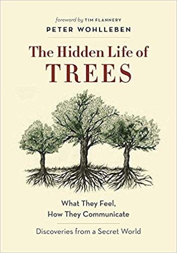 (The) secret wisdom of nature : trees, animals, and the extraordinary balance of all living things : stories from science and observation 책표지
