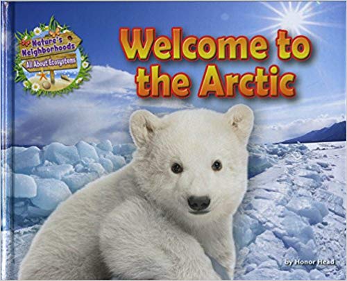 Welcome to the Arctic 책표지