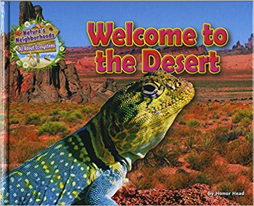Welcome to the desert 책표지